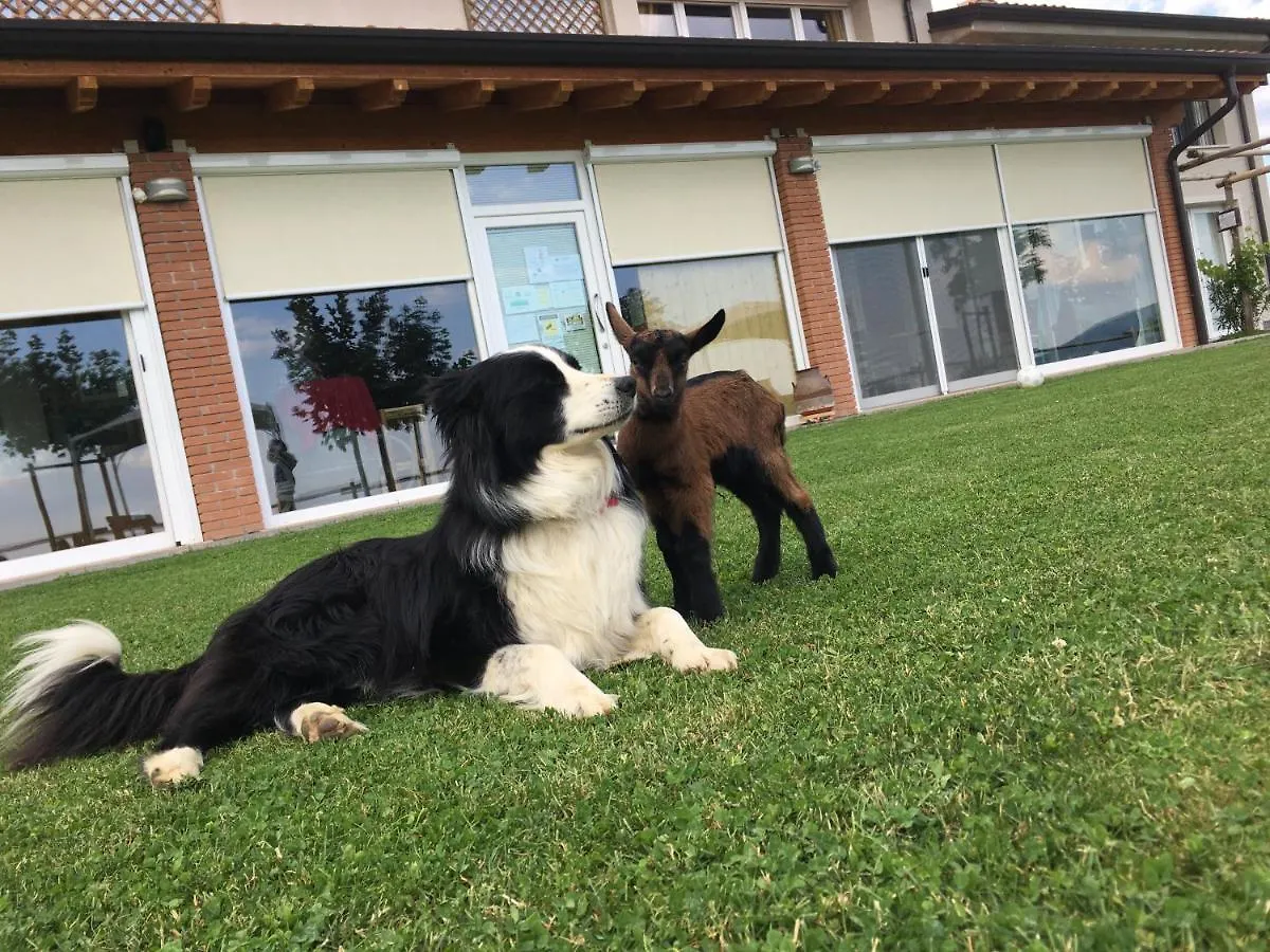 Gospodarstwo agroturystyczne Agriturismo Fattoria Monte Baldo Vista Lago Caprino Veronese