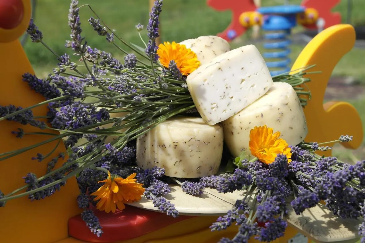 Agriturismo Fattoria Monte Baldo Vista Lago Caprino Veronese Gospodarstwo agroturystyczne