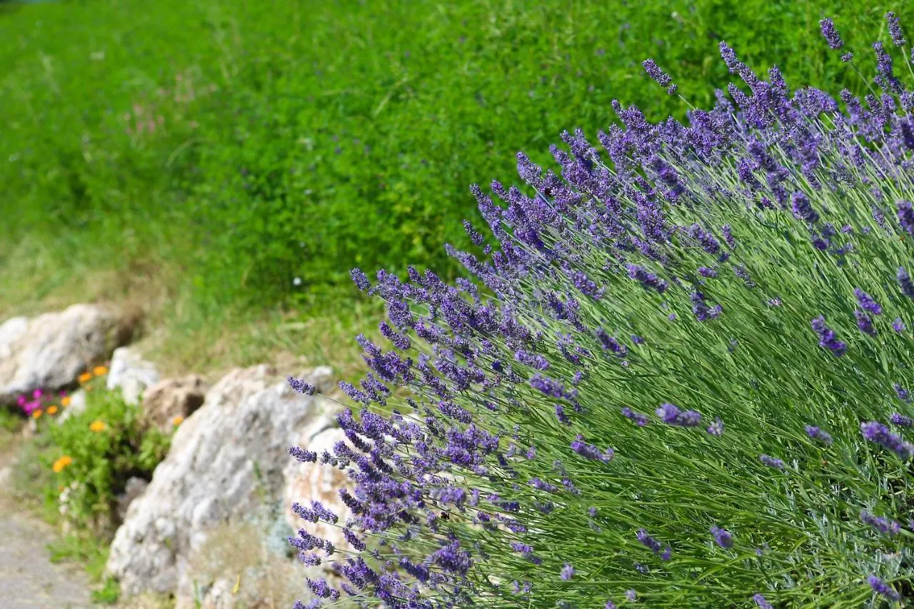 Agriturismo Fattoria Monte Baldo Vista Lago Caprino Veronese 0*,  Włochy